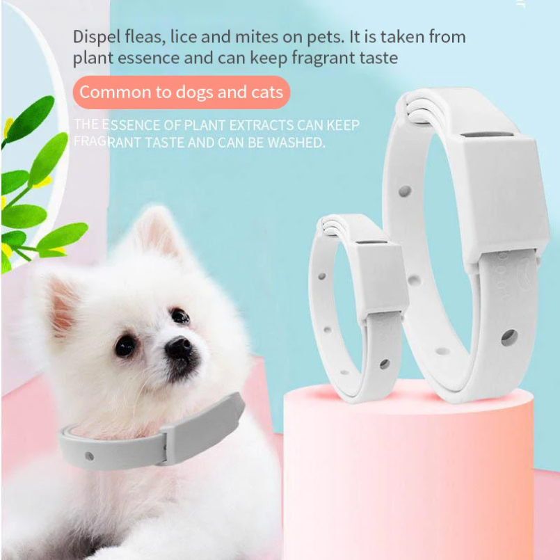Anti Pire Kene Yaka Kedi Küçük - Pet Immune Pir Sensor incelemesi ve fiyatı