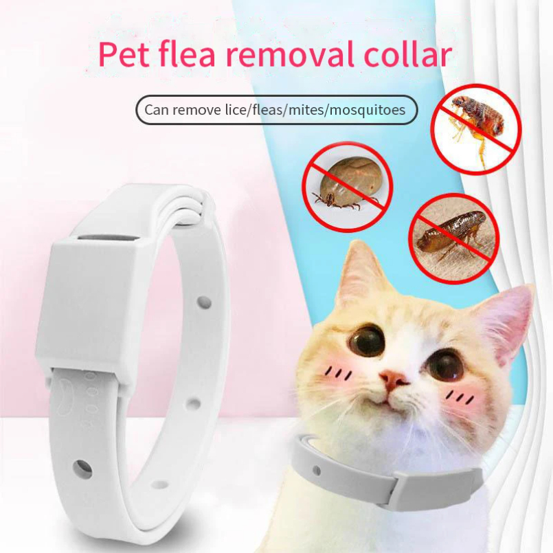 Anti Pire Kene Yaka Kedi Küçük - Pet Immune Pir Sensor incelemesi ve fiyatı