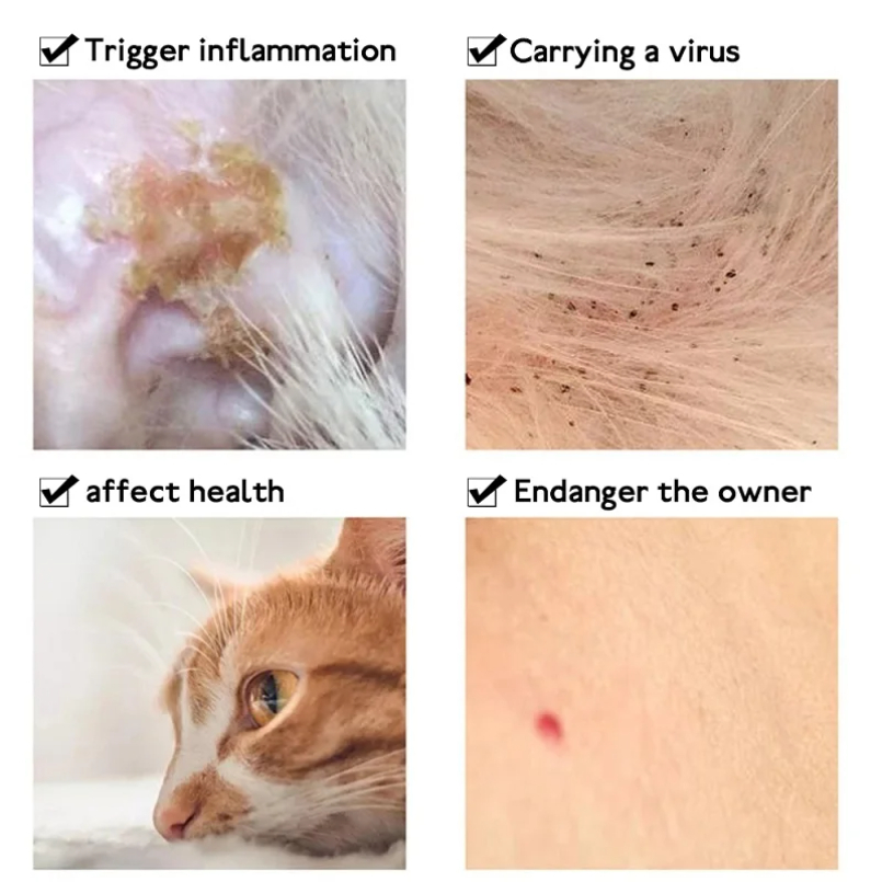 Anti Pire Kene Yaka Kedi Küçük - Pet Immune Pir Sensor incelemesi ve fiyatı